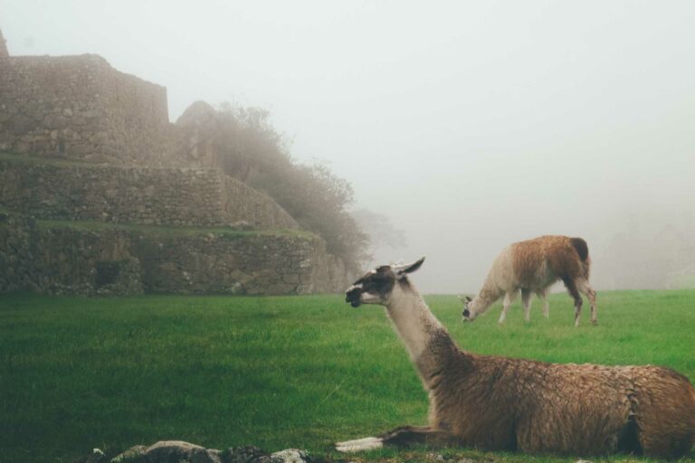 The 10 Best Peru Tours & Trips for Adventure Seekers
