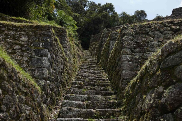 Inca Trail ruins - Patallacta